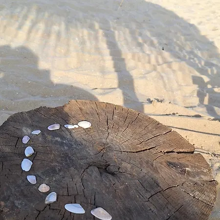 Sun Coast By The Sea * スヴェティ・ヴラス