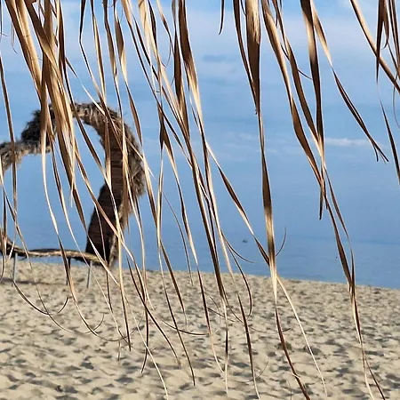 Sun Coast By The Sea アパート