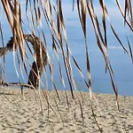 Sun Coast By The Sea 아파트