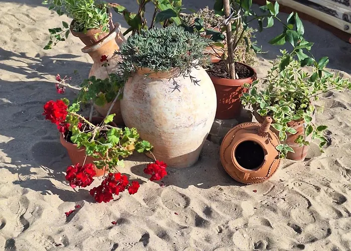 Sun Coast By The Sea *