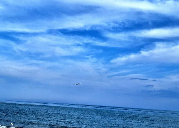 Sun Coast By The Sea דירה סבטי ולאס