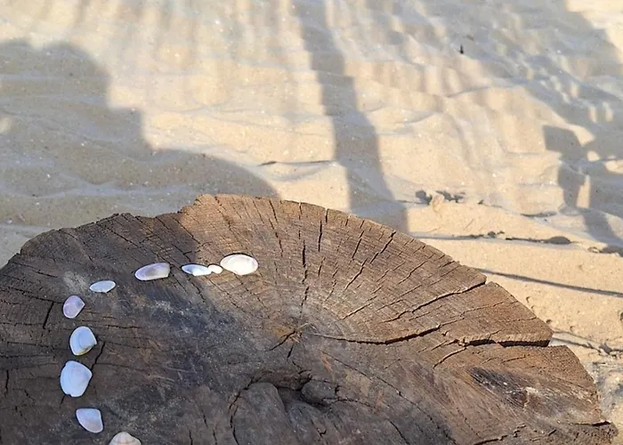 Sun Coast By The Sea * Święty Włas