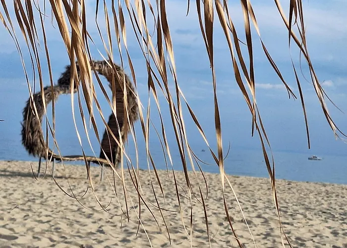 Sun Coast By The Sea דירה